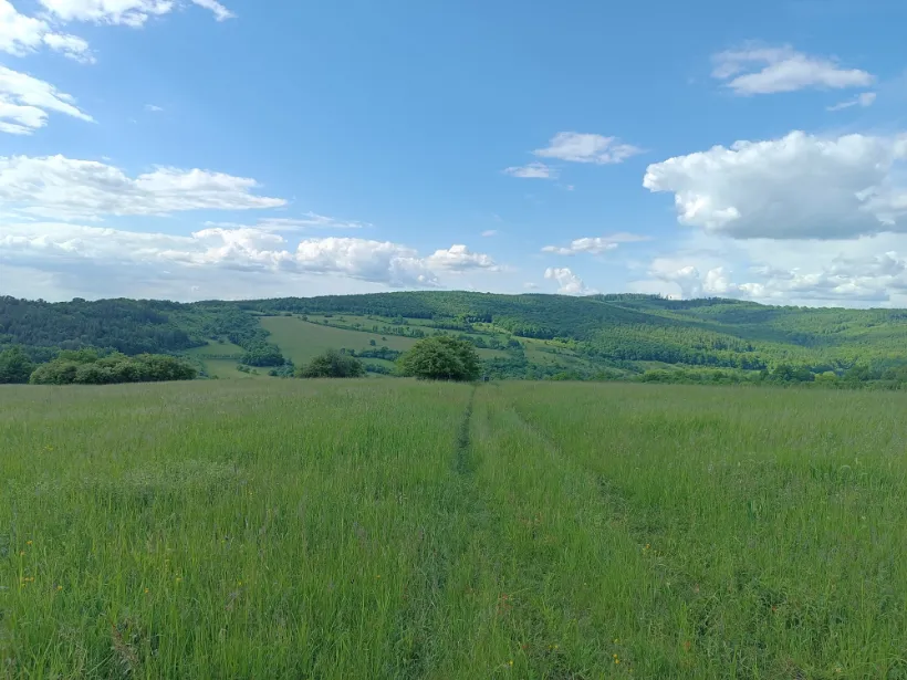 Bílé Karpaty
