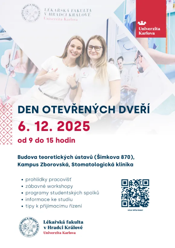 Ilustrační fotografie