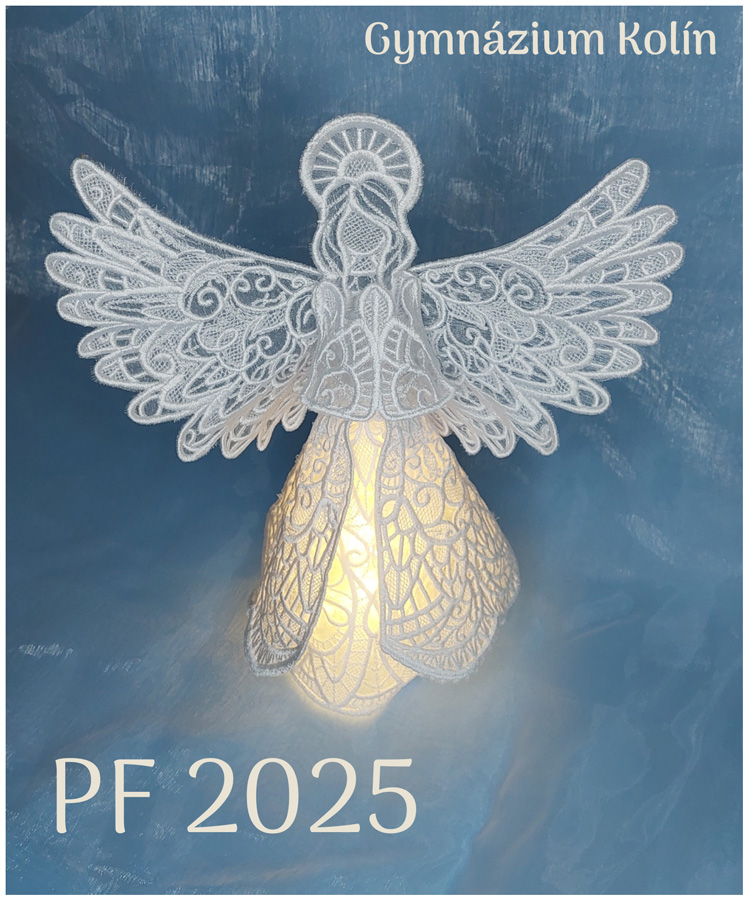 PF 2025