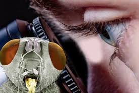 Stříbrný úspěch v biologické olympiádě