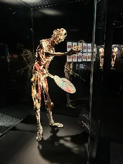 Od koster k plastinátům - foto 6
