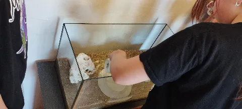 Každý sekundán akvaristou? - foto 3